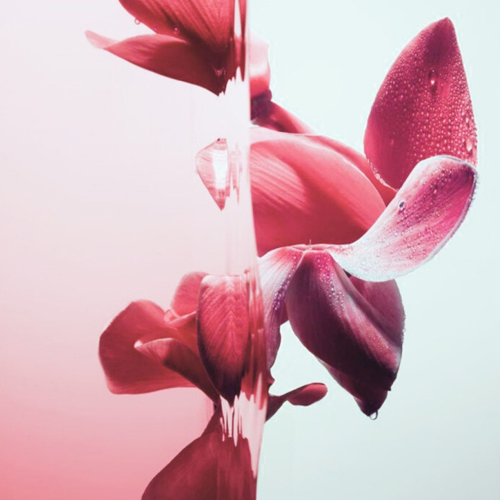 PURIFY & DETOX