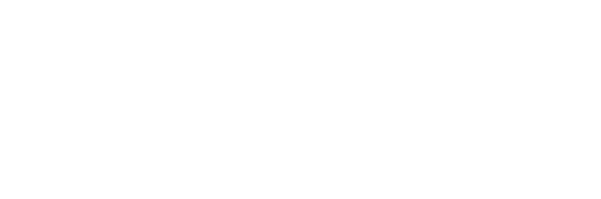 VIP EXTRA